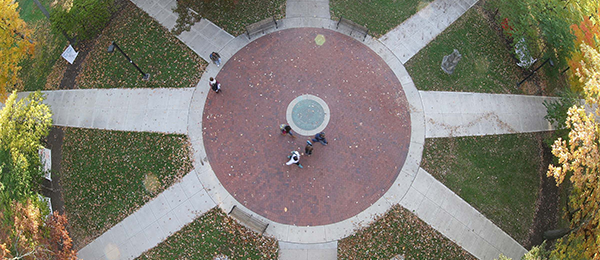 View from above of the seal