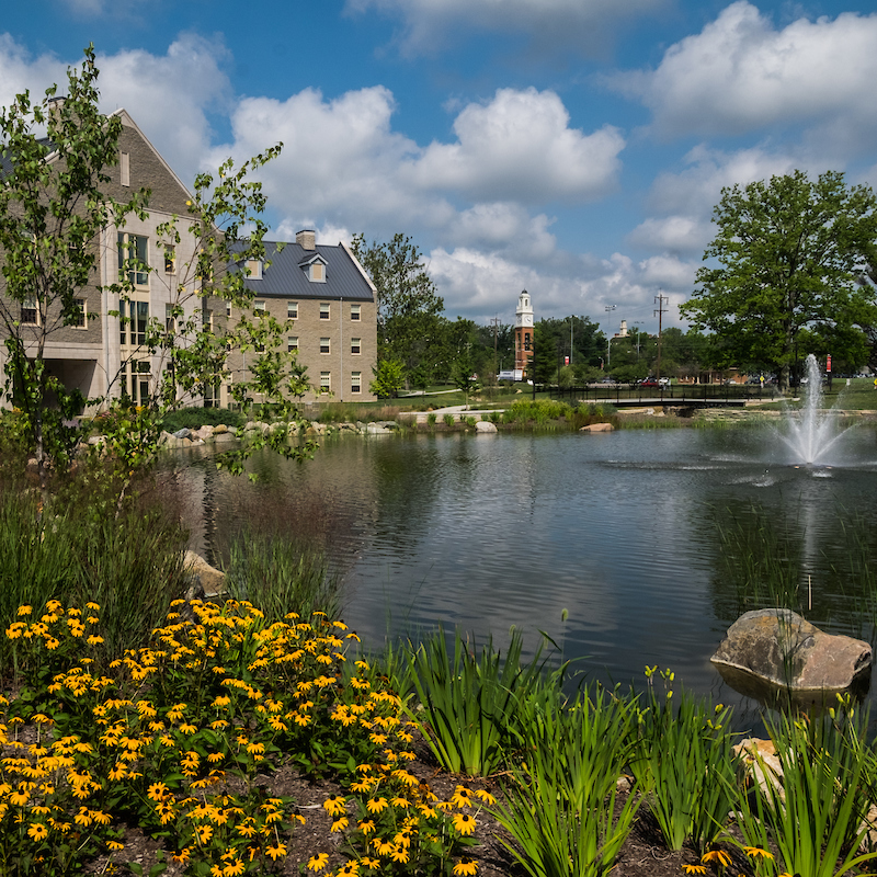 Colorful flowers and grasses surround the stormwater management pond on Western campus