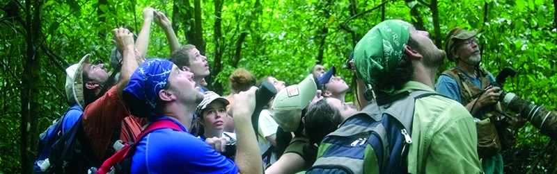 A group of students are shown various species of plant life in a forest