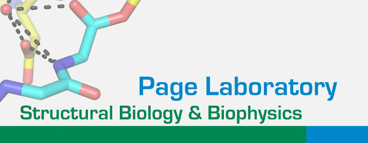 page-lab-logo