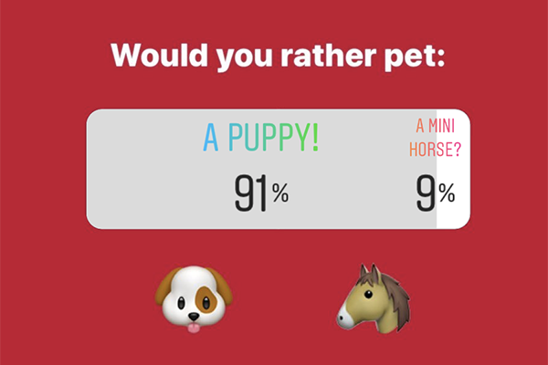 Would you rather pet: A puppy 91%, A mini horse 9%