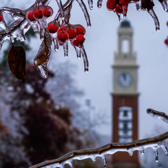 Students walking on campus on a spring day with pink flowers on the trees