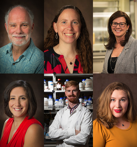 University Faculty Scholars, top row, left to right: John Jeep, Rose Marie Ward and Ellen Yezierski. University Junior Faculty Scholars, bottom row, left to right: Carolyn Hardin, Andrew Jones and Jessica McCarty.