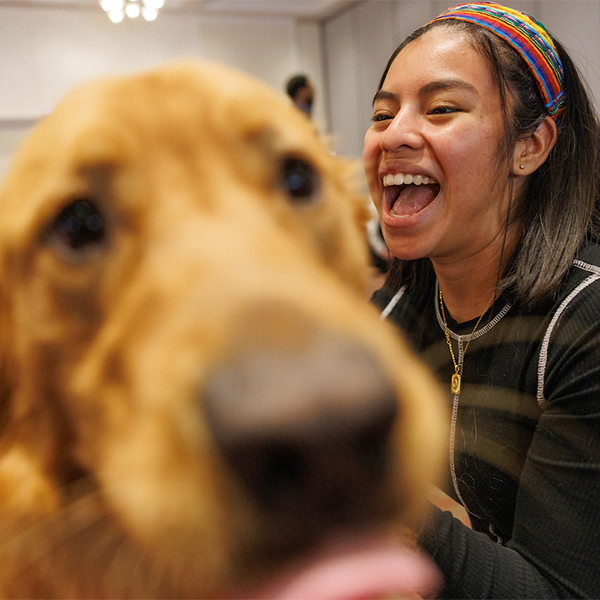 student laughing with golden retriever therapy dog