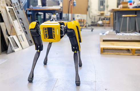 Swoop Dogg, the robotic dog