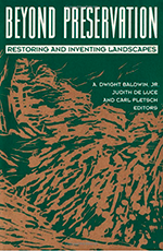 de Luce Beyond Preservation Book Cover