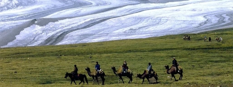 Nomads ride alpacas in Mongolia