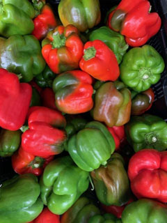 photo of bell peppers