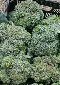 photo of broccoli crowns