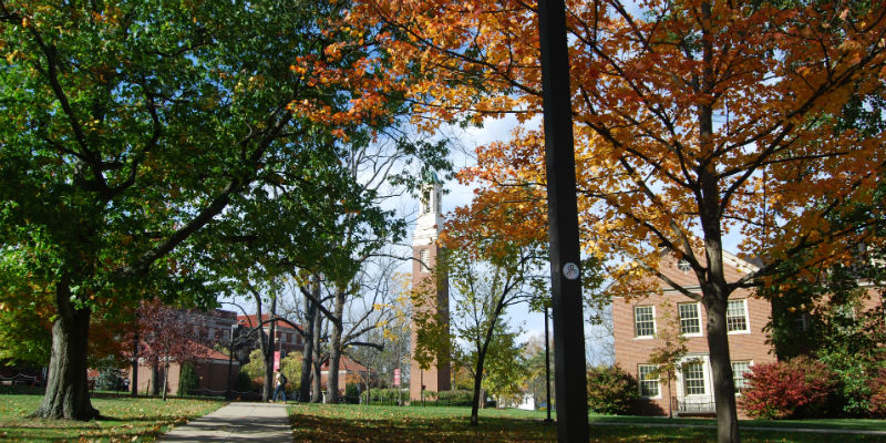 Trees and Bell Tower