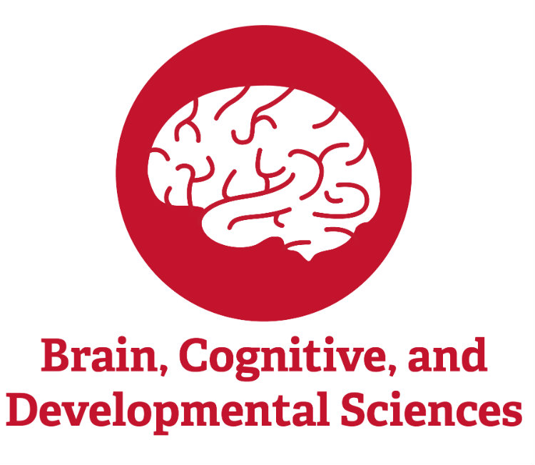 brain cognitive development icon