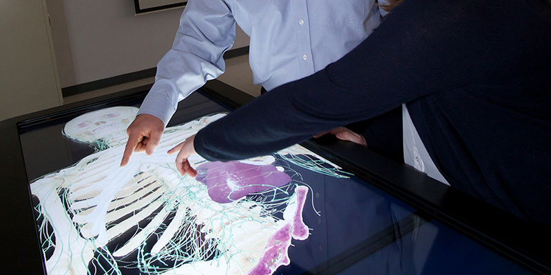 two people pointing at a skeleton projection