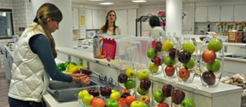 student working in a dietetics lab