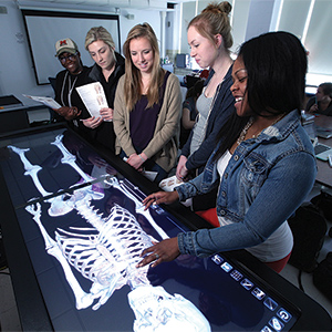 students looking at a virtual skeleton