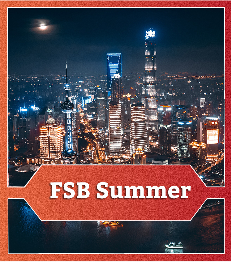 FSB Summer button imposed on a picture of Vienna