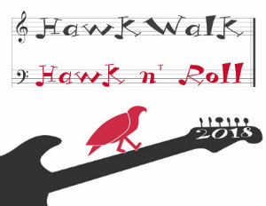 HawkWalk- Hawk 'n' Roll, Hawk on a guitar