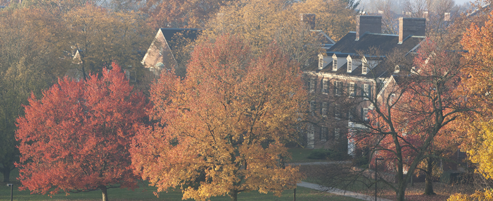 Campus in the spring
