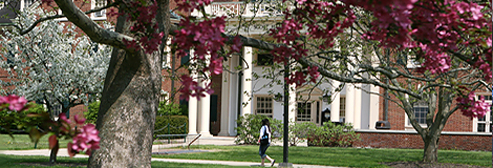 Campus in the springtime