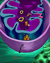 The essential cell protein PNPASE shuttles RNA into mitochondria, the energy-producing “power plant” of the cell. Human PNPASE, the function of which was discovered in 2010 by researchers from UCLA, was a case study for the CAFA experiment. (image courtesy Maureen Heaster, UCLA)