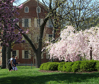 around-trees-detail.jpg