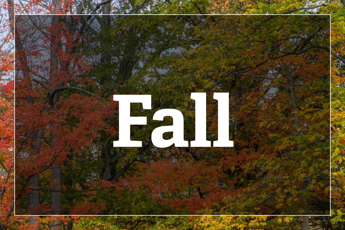 Courses Miami Online Miami University Courses Miami Online Miami University