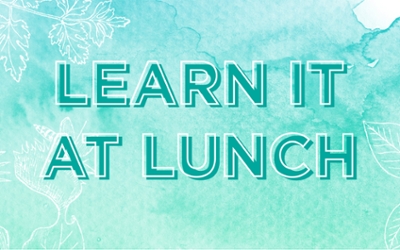 Learn it at Lunch