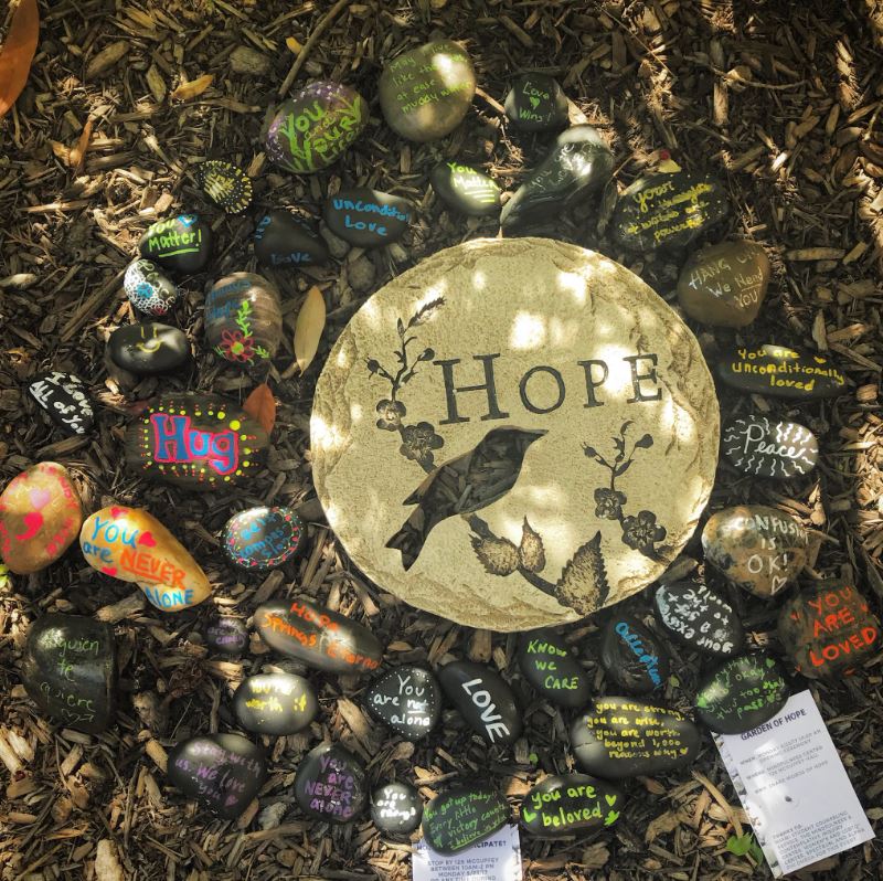 Painted rocks with positive messages, displayed like a garden