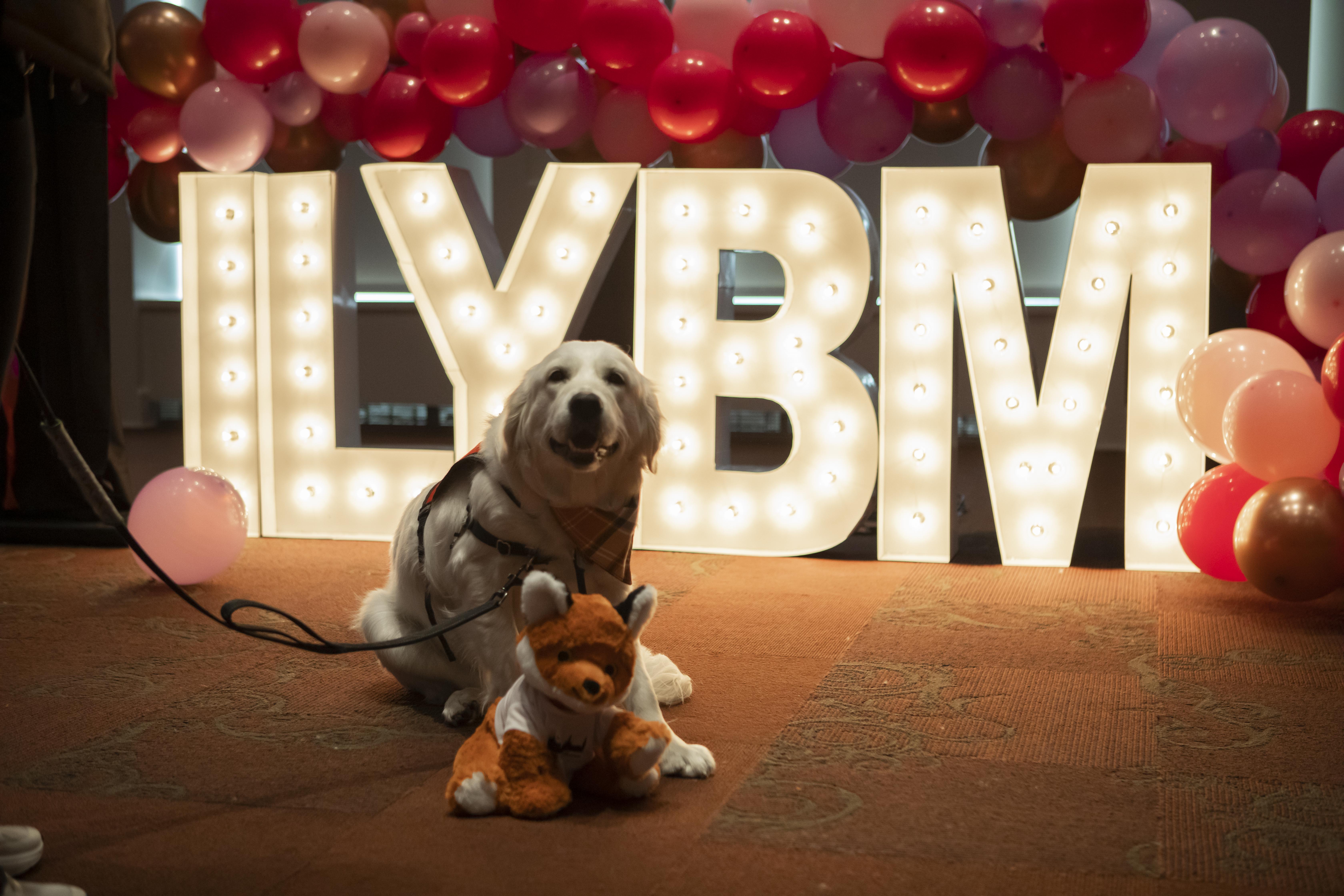 dog with stuffed animal at I Love You Beary Much event