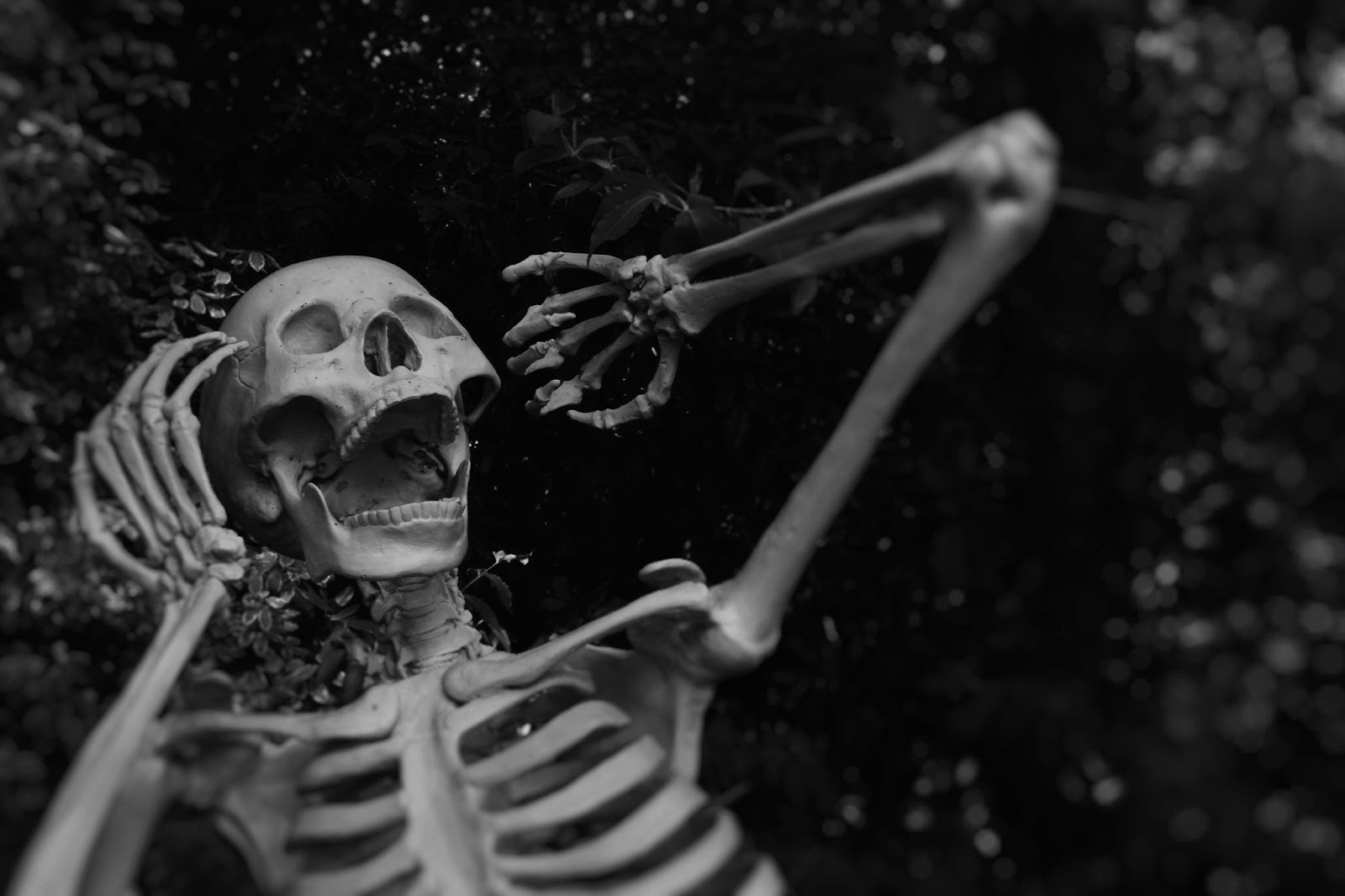 Skeleton in Black and White Screaming