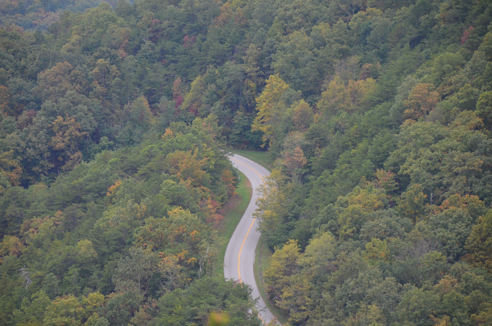 the Tail of the Dragon viewed from the trees