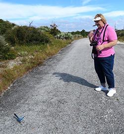 Cindy Hurley (right), holding a camera and wearing a pink t-shirt, looks at a bird on the blacktop road (left) with a smile.
