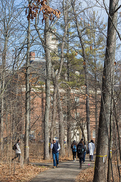 Restoration work on Biship Woods to begin late March.