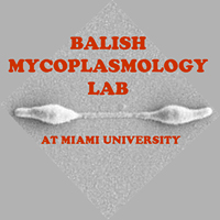 balish-logo