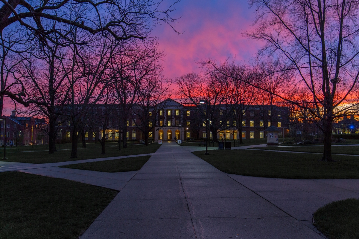 Image of King Library at night