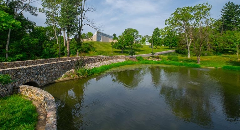 duck-pond-wide