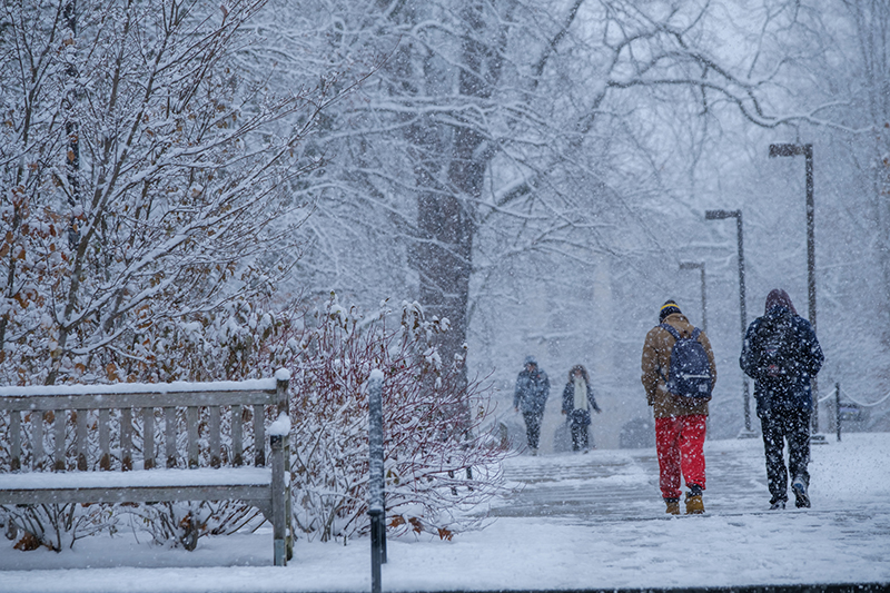 Winter term participation remains strong Miami University