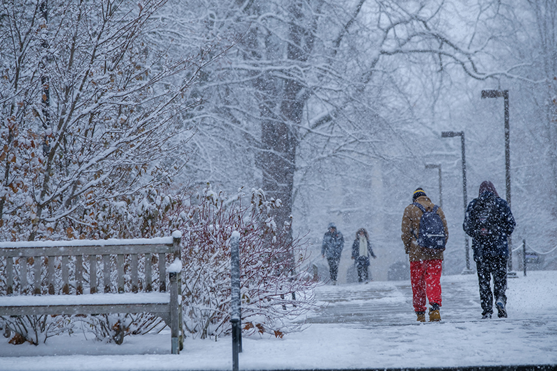 University Of Miami Winter Break