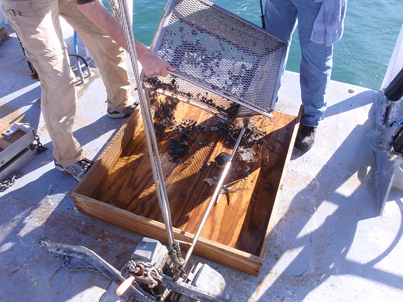 cariie-dredge-basket