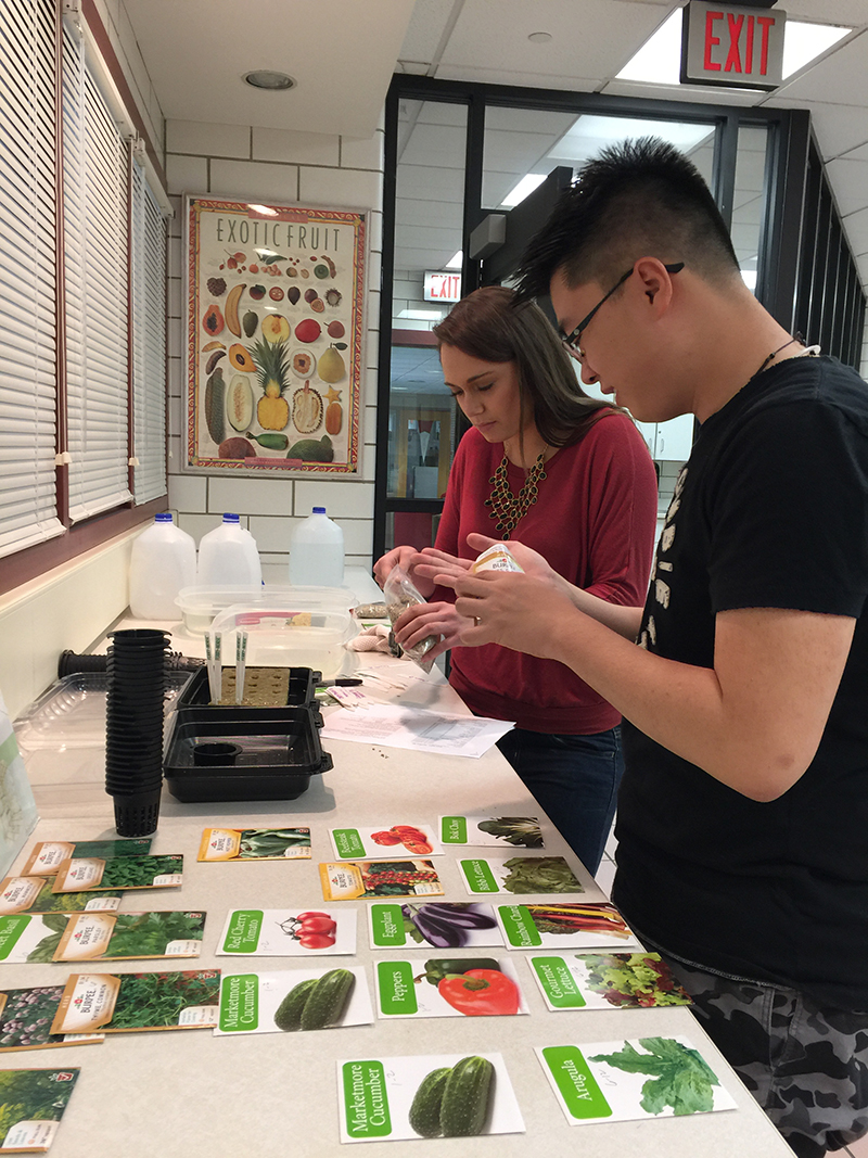 Nutrition and dietetic students plant seeds in rock wool medium pods for the tower gardens.
