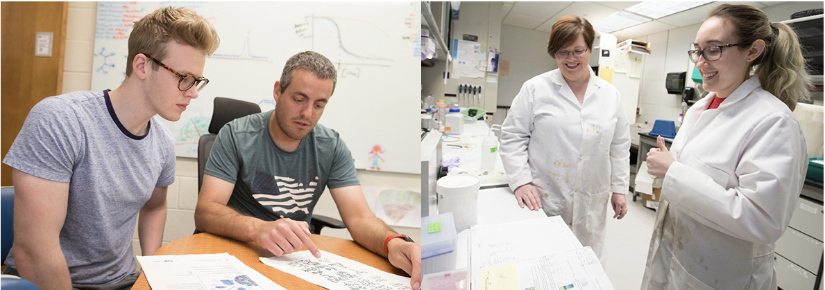 Senior biochemistry majors Matt Morris, at left with faculty mentor Rick Page, and Krystina Hird, at right with faculty mentor Carole Dabney-Smith, received $19,300 Beckman Scholarships for 2018-2019.  