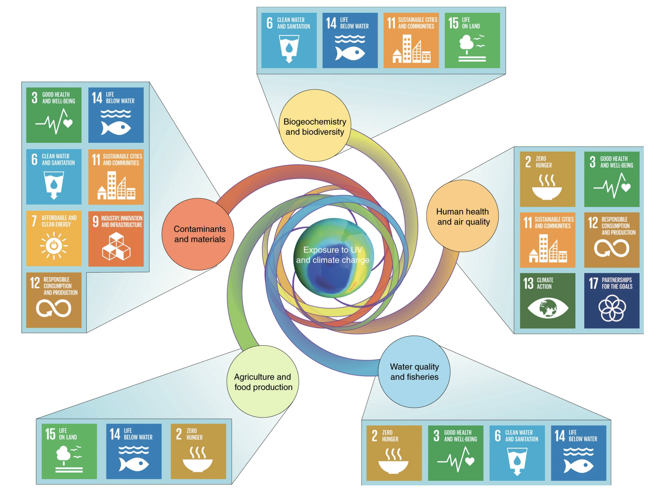 Miami University ecologist Craig Williamson is a member the UN Environmental Effects Assessment Panel. Their new report on global ozone depletion and UV radiation related to the Montreal Protocol addresses many of the United Nations Sustainable Development Goals.