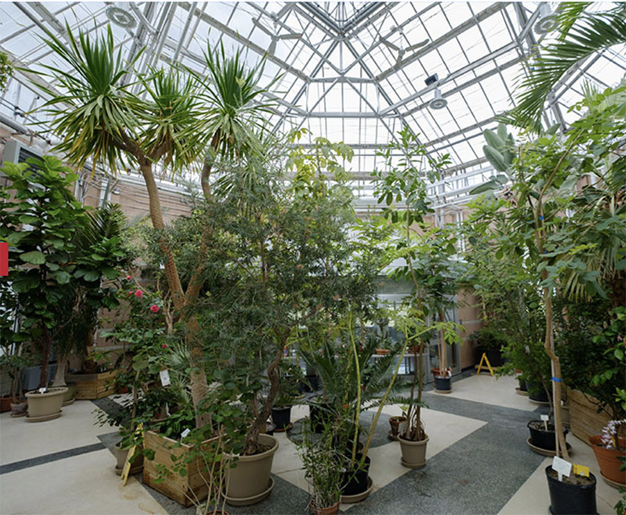 conservatory