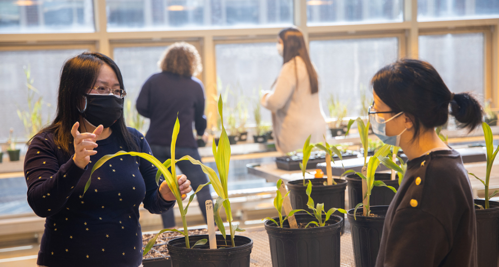 Left to right: Meixia Zhao, assistant professor of biology, with biology majors Liz Kelly (senior) and Alaina Singh (junior), and doctoral student Beibei Liu.