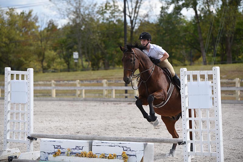 jonathan deblasi jumps with his horse russell over a short gate