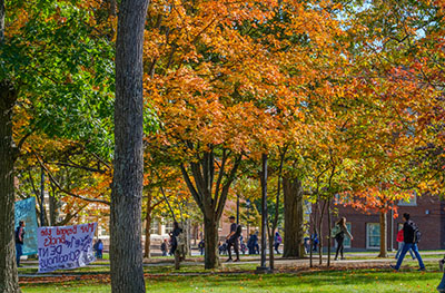 autumn trees near the hub with students walking on the paths