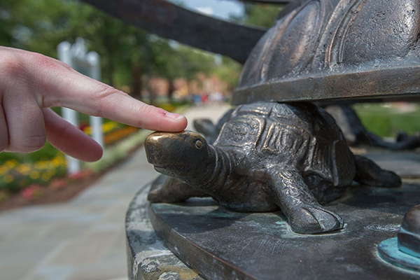 student rubbing the turtle head