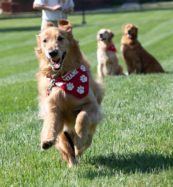 Charlie runs across Central Quad with Ivy and Newton sitting in the background