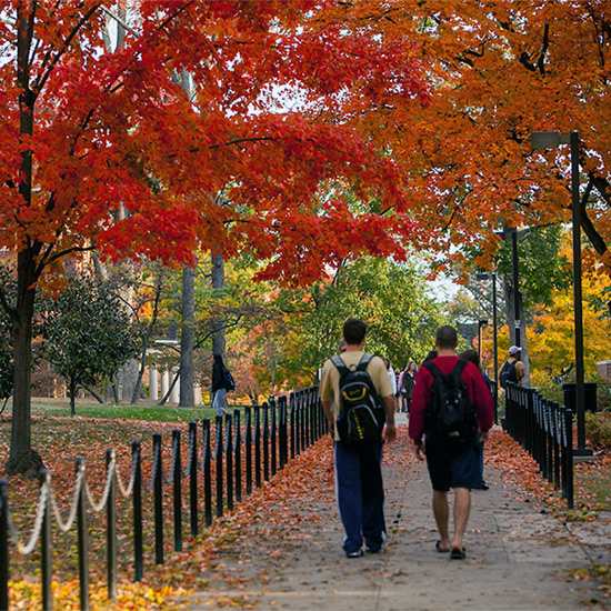 Two people walk along a tree-lined path covered in autumn leaves, surrounded by vibrant fall foliage.