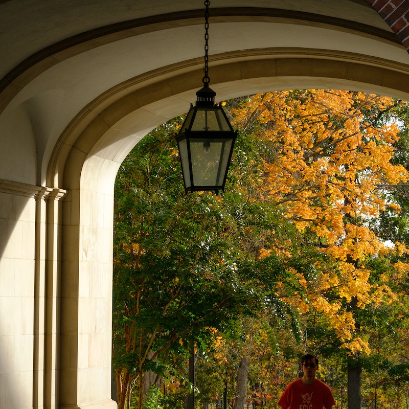 Lantern in Upham Arch