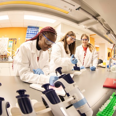 Students in a research lab working with equipment under a hood